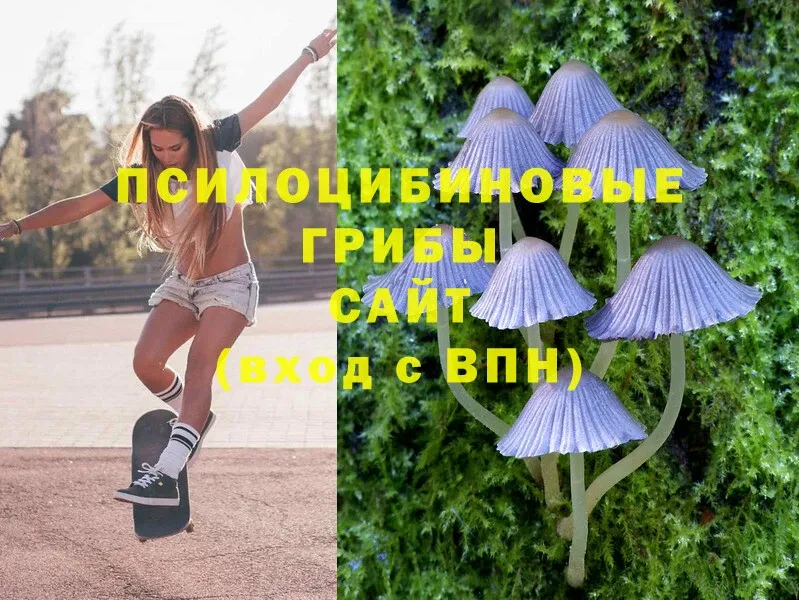 Галлюциногенные грибы MAGIC MUSHROOMS  Алдан 